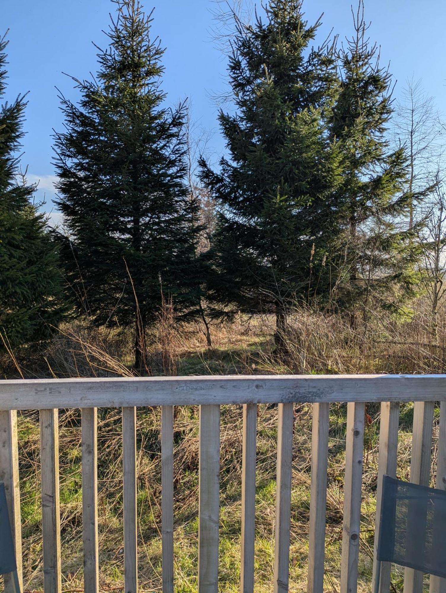 Apartament Blair Snug Hut Kelty Zewnętrze zdjęcie